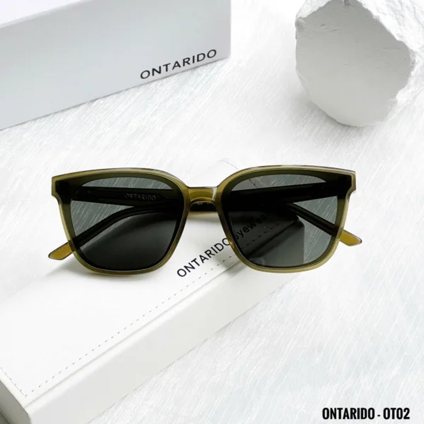 Gọng Kính Mát Râm Chính Hãng Nam Nữ Thời Trang AmeiD Ontarido 02 Gọng Nhựa Mắt Râm Chống Tia UV 400 Gọng Mát Chính Hãng - Ảnh 3
